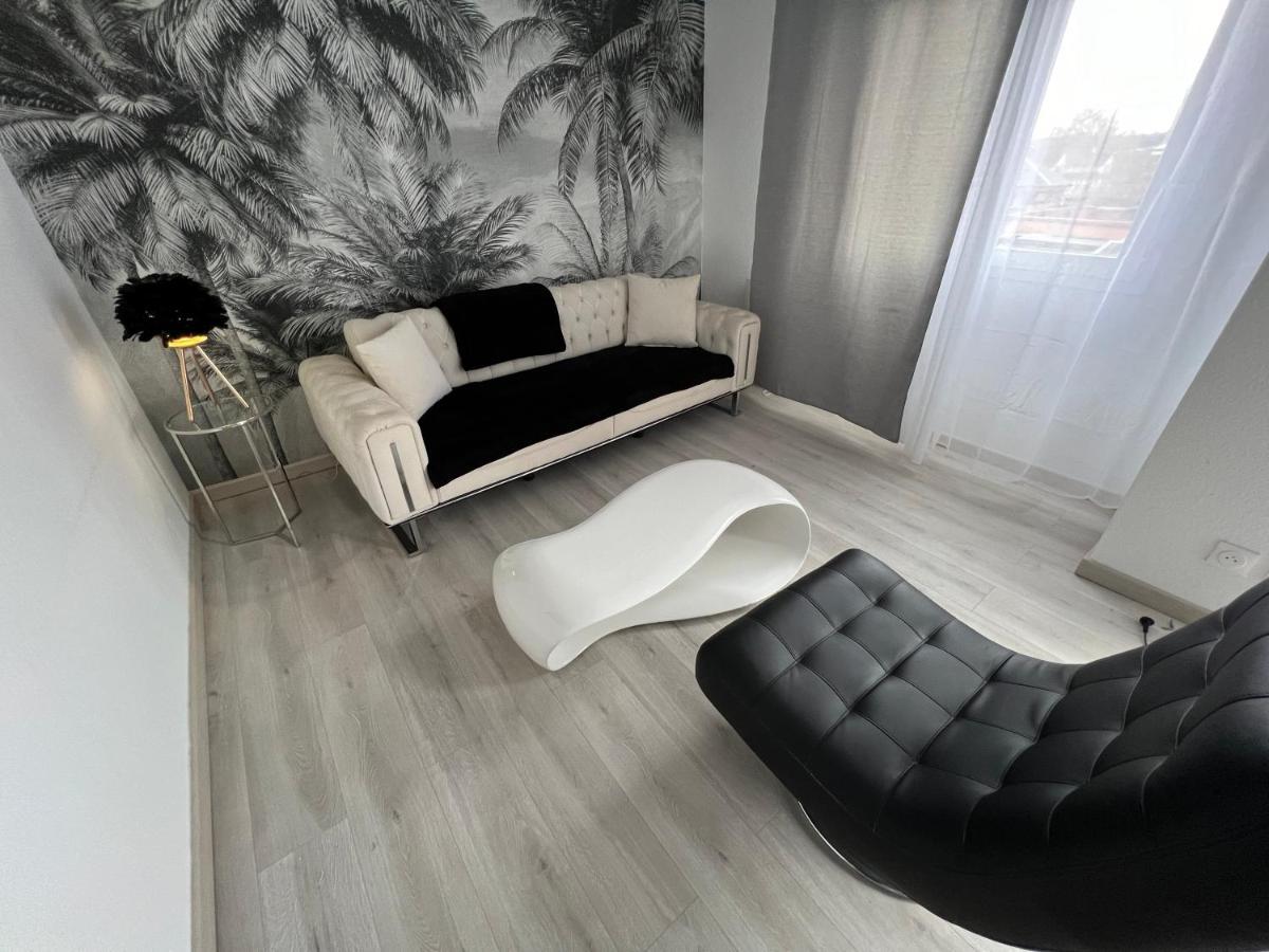 Le Cannois, Appartement De Star 3 Chambres มูลูส ภายนอก รูปภาพ