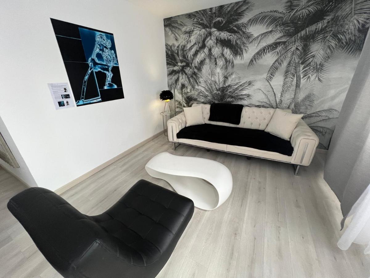 Le Cannois, Appartement De Star 3 Chambres มูลูส ภายนอก รูปภาพ